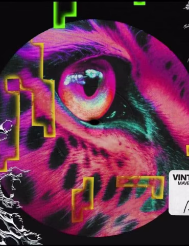 Vintage Culture "Weak" Feat Maverick Sabre