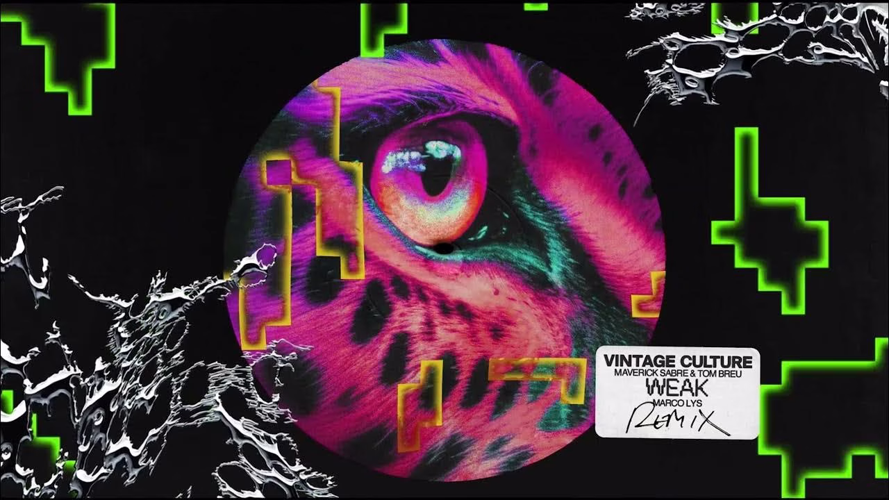 Vintage Culture "Weak" Feat Maverick Sabre